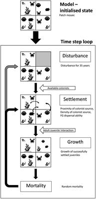 Effects of Benthic Protection Extent on Recovery Dynamics of a Conceptual Seafloor Community